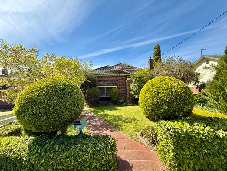 42 Yass Street, Young NSW 2594