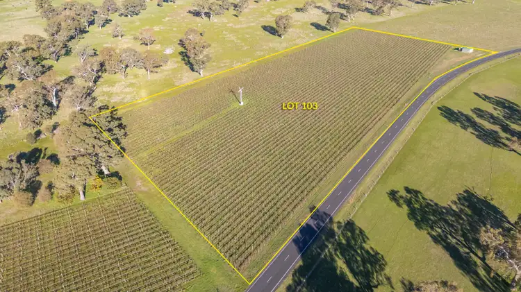 Second view of Homely land listing, LOT 103, 108 Dergholm Road, Penola SA 5277