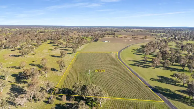 Third view of Homely land listing, LOT 103, 108 Dergholm Road, Penola SA 5277