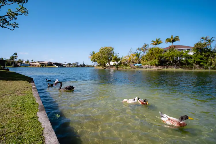 30 Peninsula Court, Mermaid Waters QLD 4218