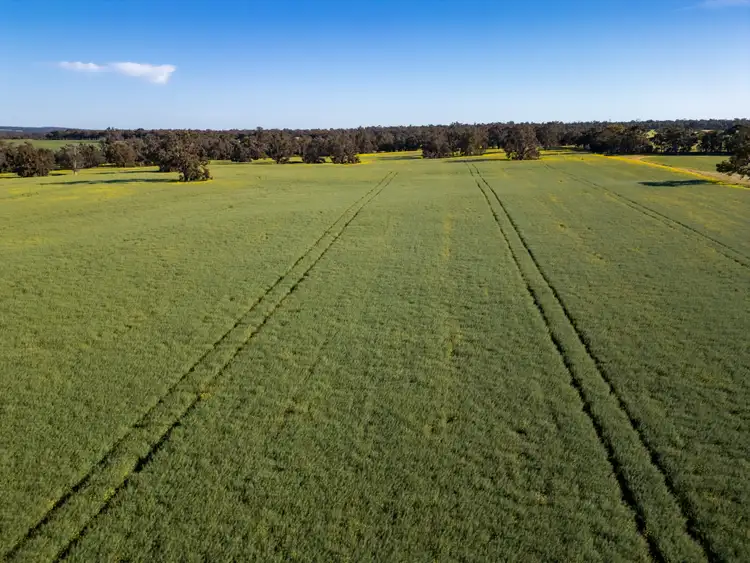 Second view of Homely rural property listing, "The Brook" 266 Tetlow Road, Cranbrook WA 6321