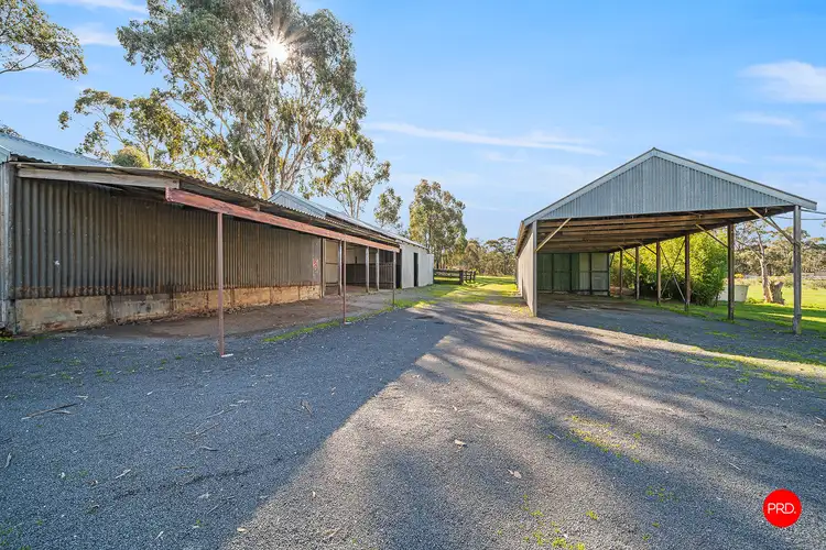 Third view of Homely house listing, 717 McIvor Highway, Junortoun VIC 3551