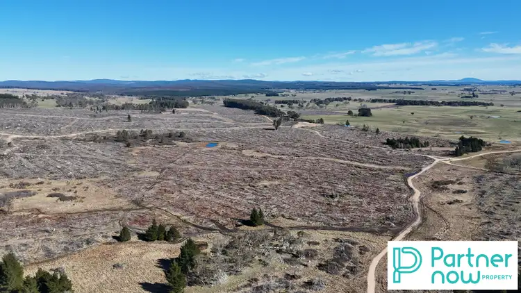 "Paddy's Flat" Monaro Highway, Bombala NSW 2632