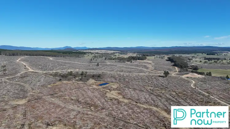 Third view of Homely rural property listing, "Paddy's Flat" Monaro Highway, Bombala NSW 2632
