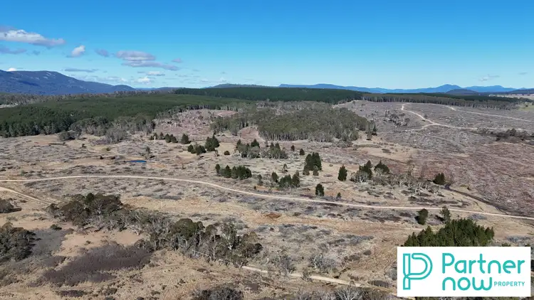 Fourth view of Homely rural property listing, "Paddy's Flat" Monaro Highway, Bombala NSW 2632