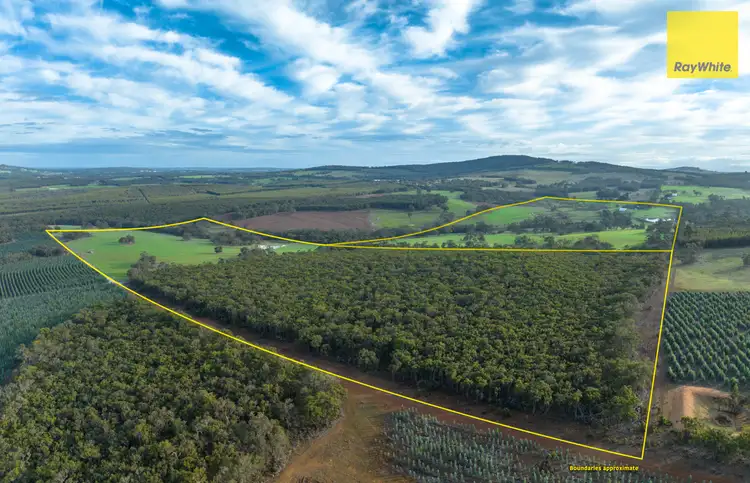 Sixth view of Homely rural property listing, 628 Porongurup Road, Mount Barker WA 6324