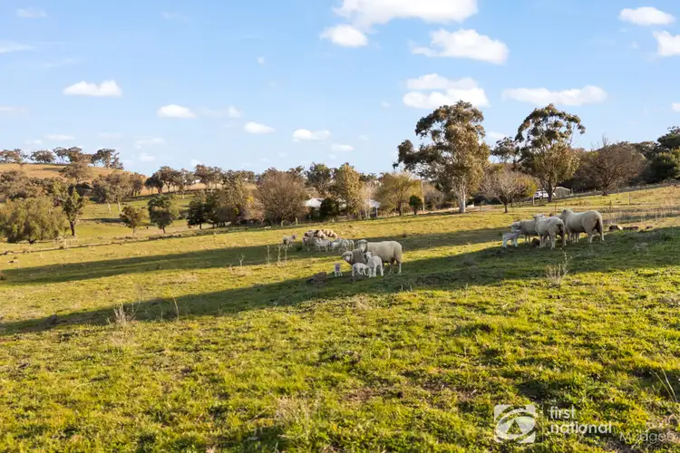Third view of Homely rural property listing, 2654 "Moonshine", Lue Road, Lue, Mudgee NSW 2850