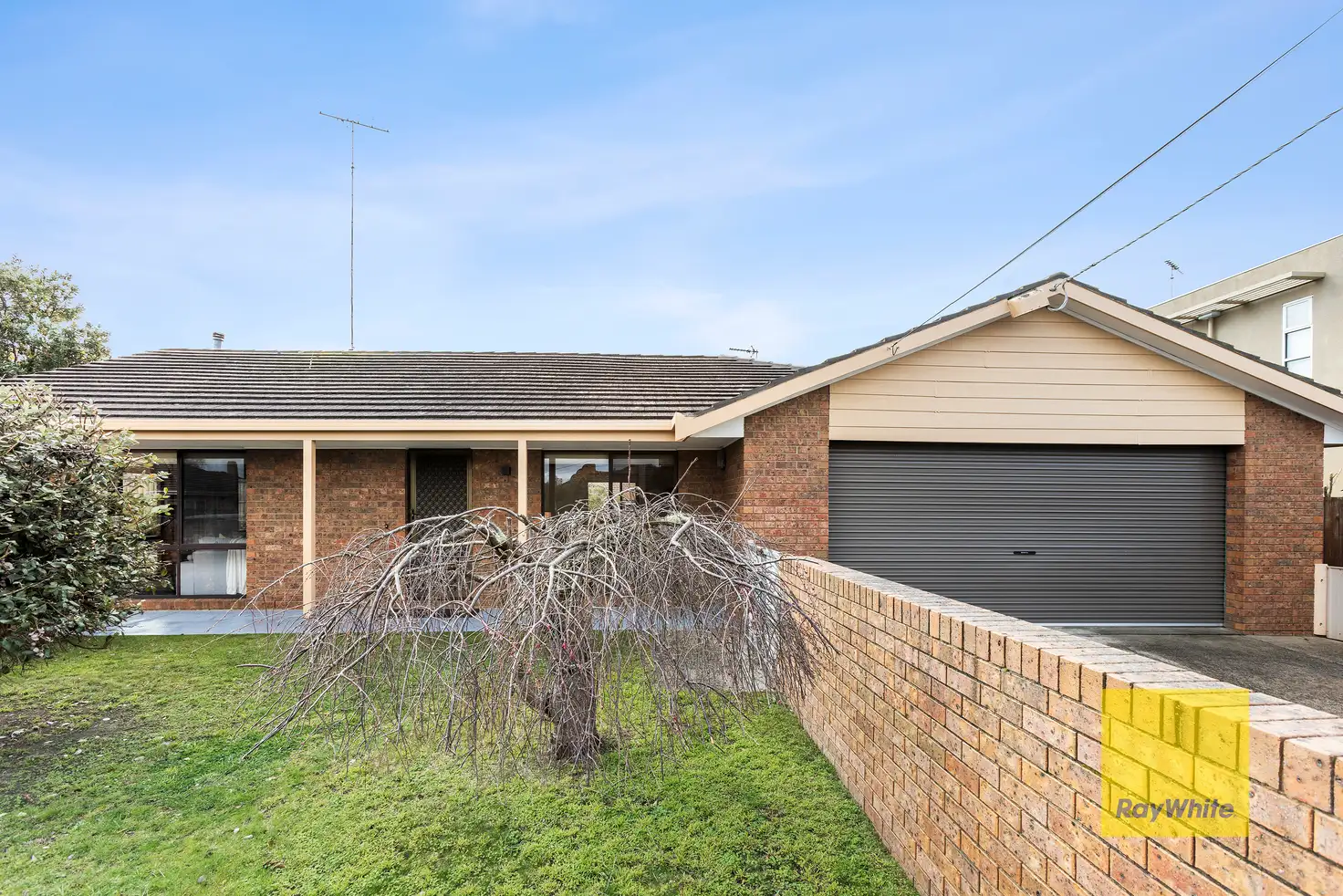 Main view of Homely unit listing, 1/24 Percy Street, Newtown VIC 3220