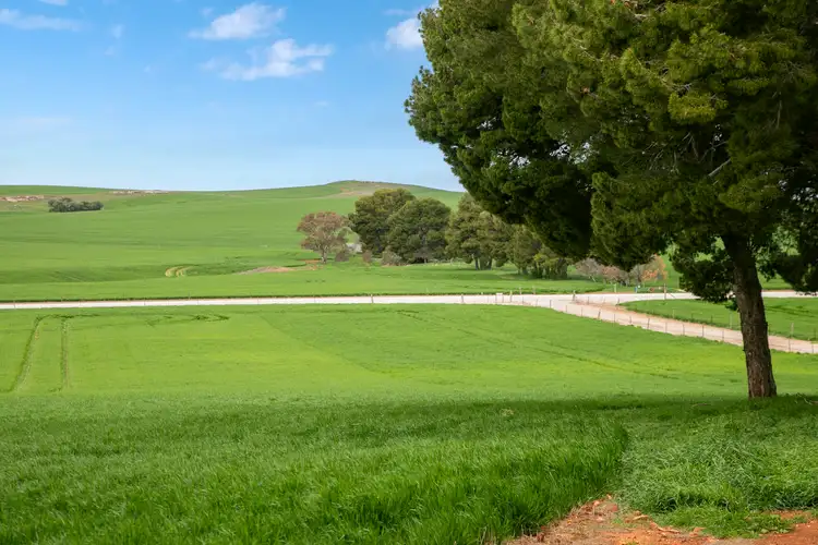 Third view of Homely rural property listing, 'Georgetown Heights' Georgetown-Narridy Road, Georgetown SA 5472