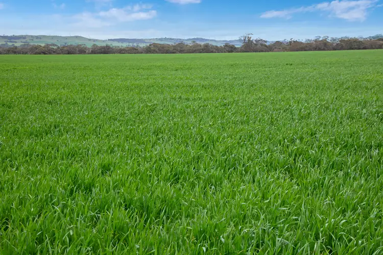 Second view of Homely rural property listing, 'Knowlings' Williams Road, Tothill Creek SA 5413