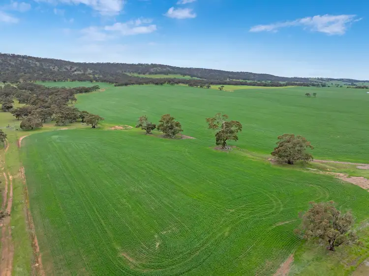 Fourth view of Homely rural property listing, 'Knowlings' Williams Road, Tothill Creek SA 5413