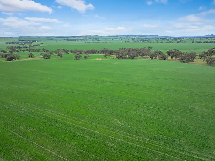 Fifth view of Homely rural property listing, 'Knowlings' Williams Road, Tothill Creek SA 5413