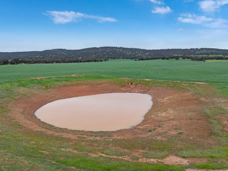 Seventh view of Homely rural property listing, 'Knowlings' Williams Road, Tothill Creek SA 5413