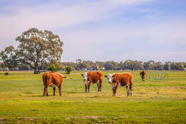 Fourth view of Homely rural property listing, 'Questa North' Riverina Highway, Deniliquin NSW 2710