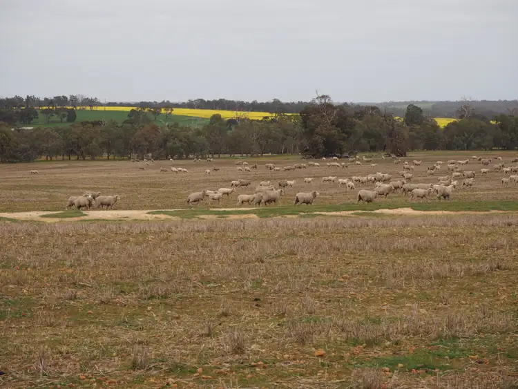Dowrene Farm, Cnr Yerriminup and Yarralena Roads, Cranbrook WA 6321