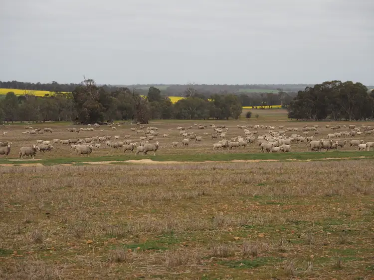 Second view of Homely rural property listing, Dowrene Farm, Cnr Yerriminup and Yarralena Roads, Cranbrook WA 6321