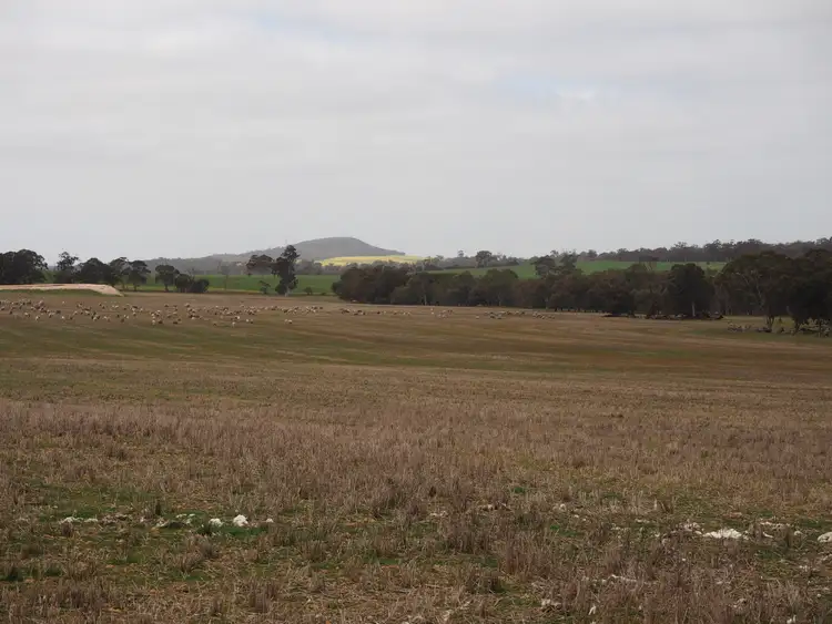 Fourth view of Homely rural property listing, Dowrene Farm, Cnr Yerriminup and Yarralena Roads, Cranbrook WA 6321