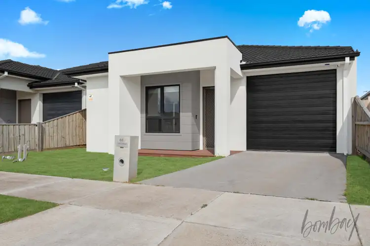 Second view of Homely house listing, 16 Numbat Drive, Beveridge VIC 3753