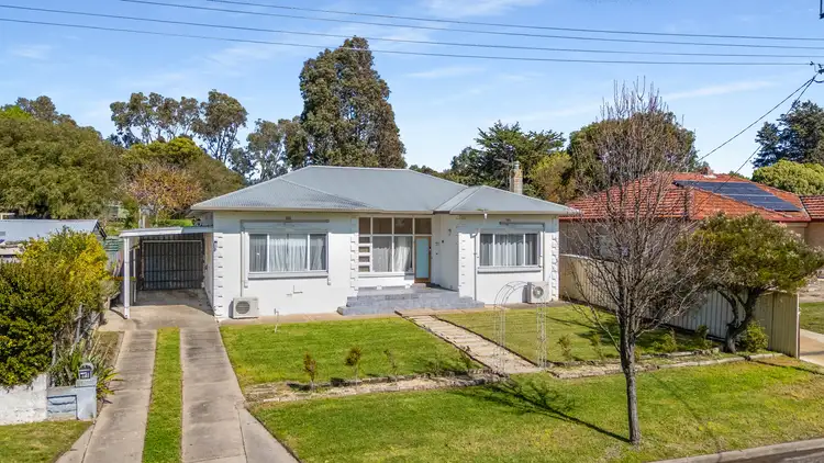 71 Williams Road, Millicent SA 5280