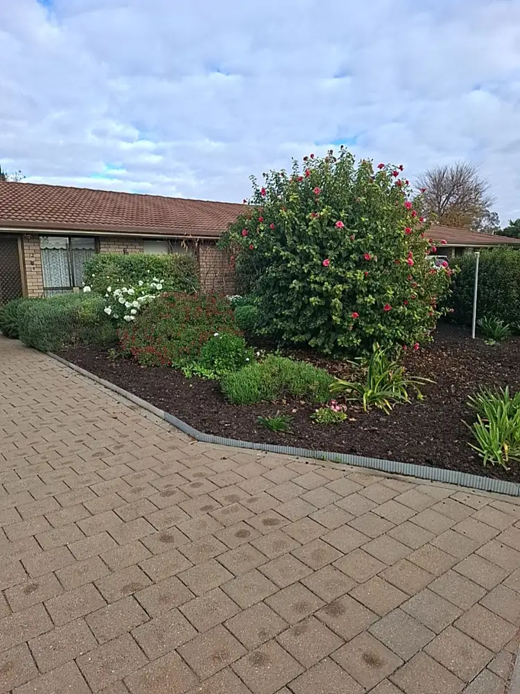 Main view of Homely house listing, 2/7 Reginald Street, Loxton SA 5333