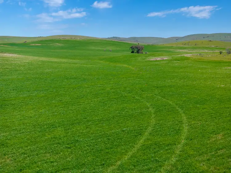 Third view of Homely rural property listing, 'Turner's' Arthur Road, Orroroo SA 5431