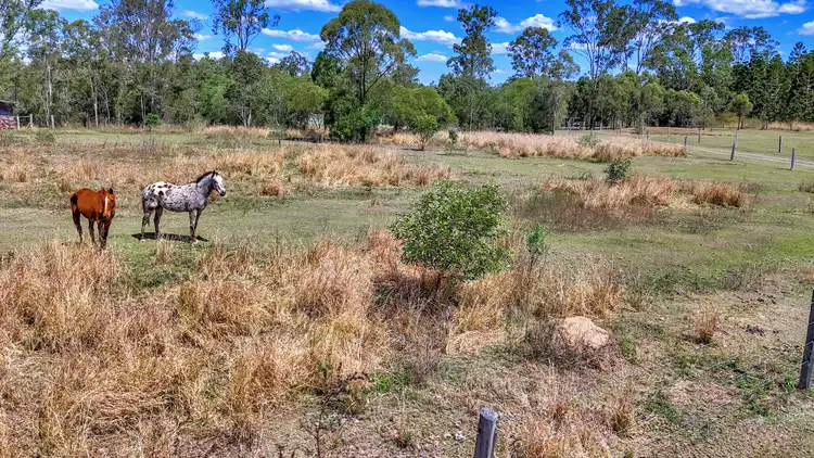 Sixth view of Homely rural property listing, 53 Steemsons Road, Pine Creek QLD 4670