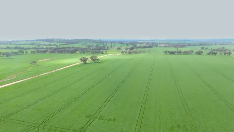 406 Crawley's Road, Henty NSW 2658