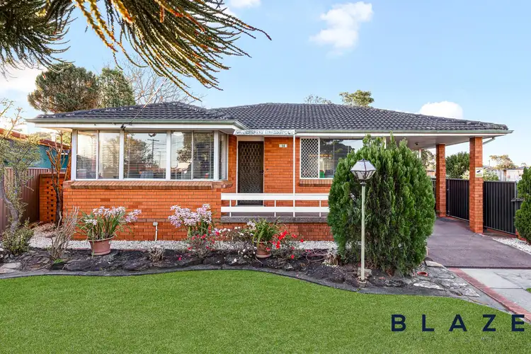 14 Wadds Avenue, Cabramatta NSW 2166
