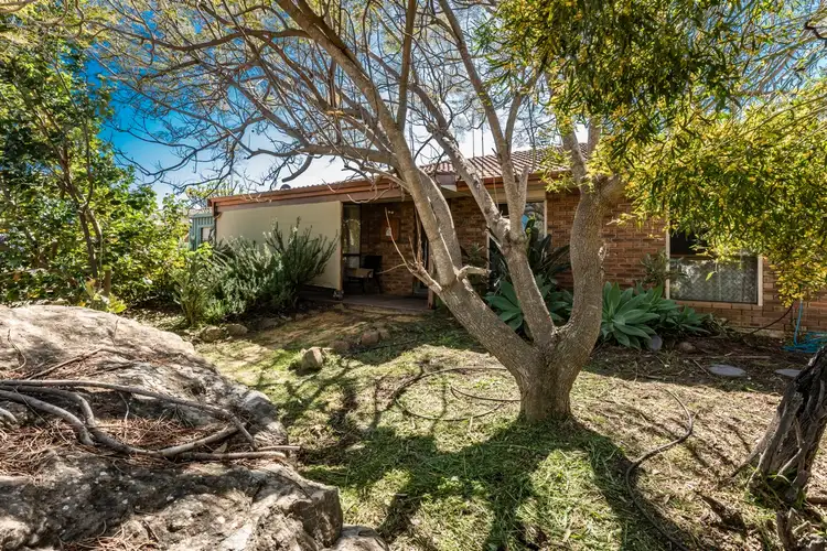 Main view of Homely house listing, 21 Kultown Drive, Waggrakine WA 6530