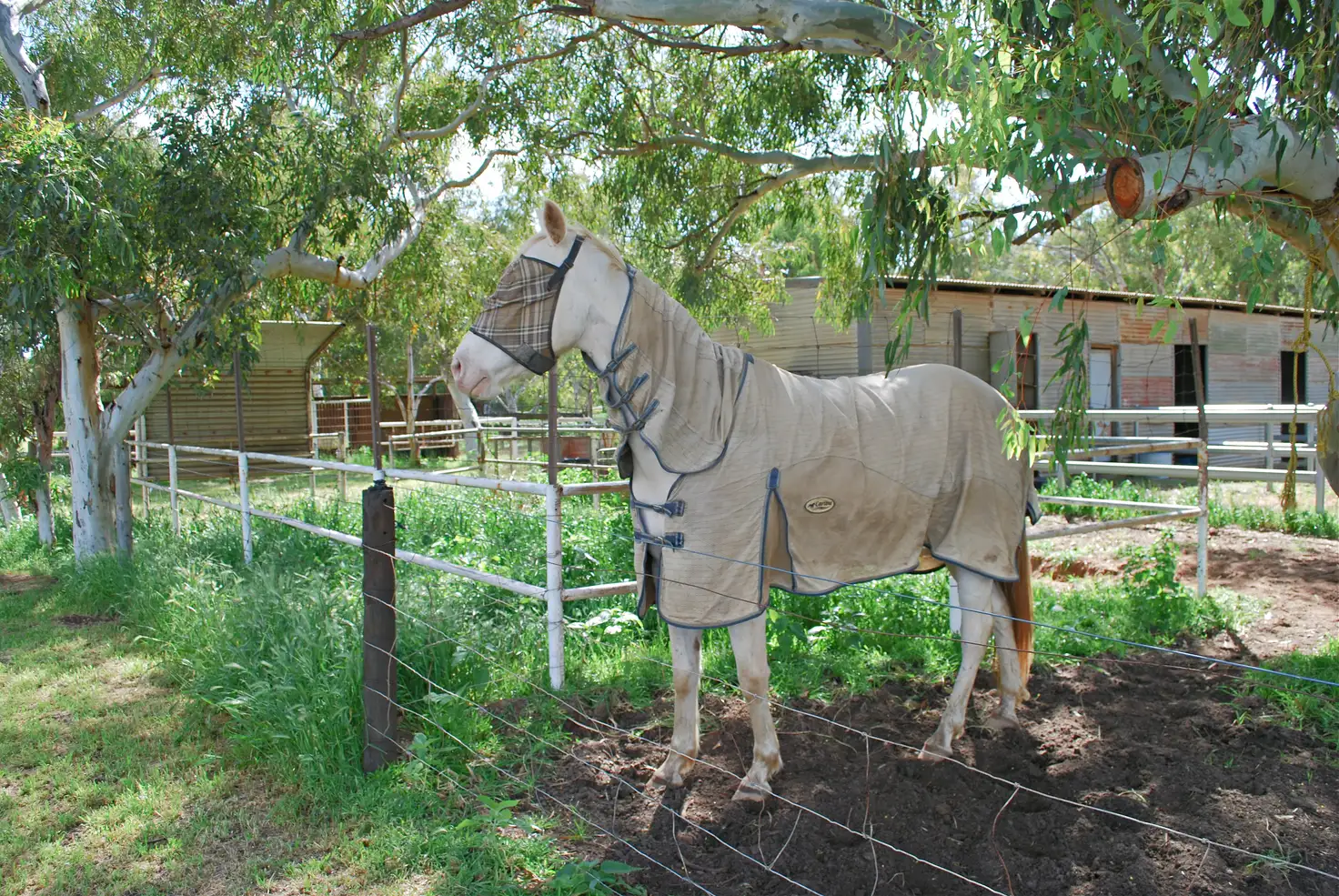 Main view of Homely house listing, 10 Wellington Road, Woorree WA 6530