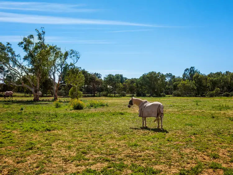 Fourth view of Homely house listing, 10 Wellington Road, Woorree WA 6530
