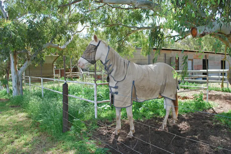 10 Wellington Road, Woorree WA 6530