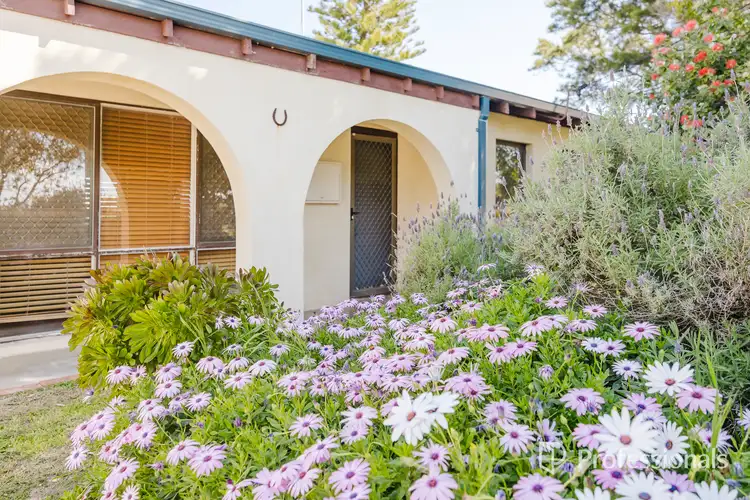 16 Forrest Grove, Two Rocks WA 6037