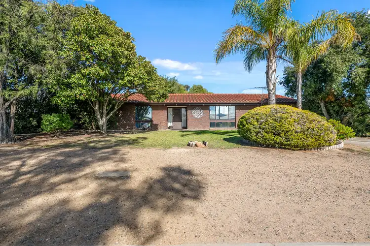 Main view of Homely house listing, 3 Edinburgh Street, Murray Bridge SA 5253