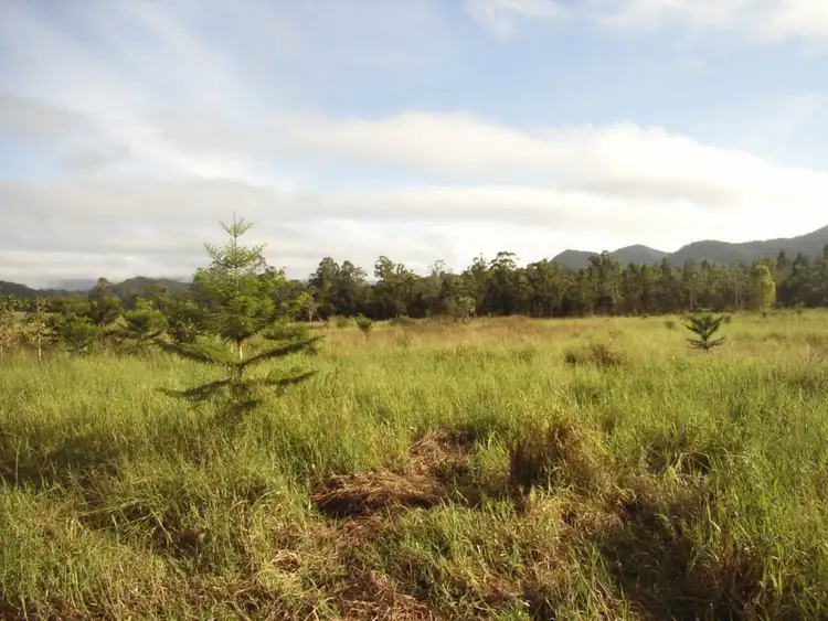 Seventh view of Homely land listing, 149 Langdon-Lumburra Road, Dows Creek QLD 4754