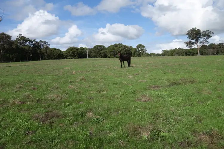 Fourth view of Homely rural property listing, 7395 Bussell Highway, Metricup WA 6280