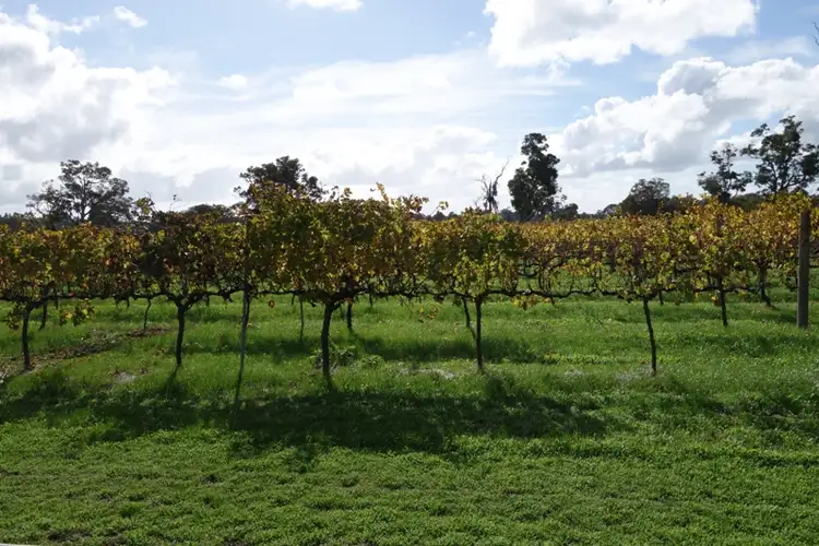 Seventh view of Homely rural property listing, 7395 Bussell Highway, Metricup WA 6280