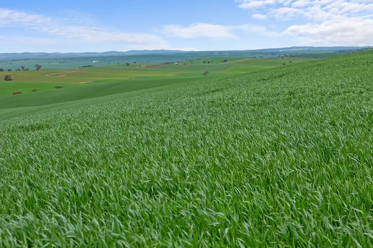 'Stone Hut' Halls Road
