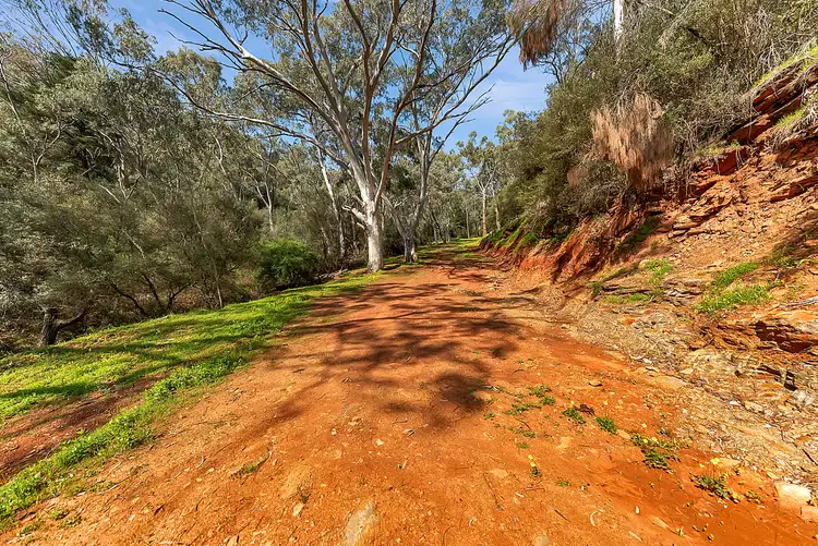 Lot 96 Norton Summit Road, Teringie SA 5072