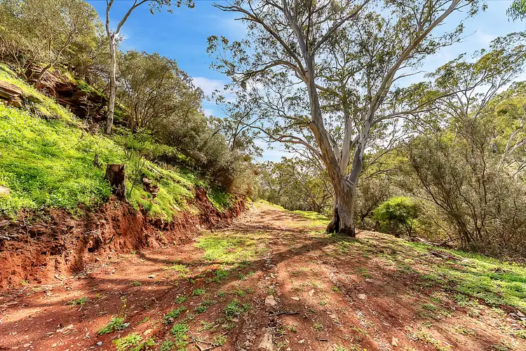 Lot 96 Norton Summit Road, Teringie SA 5072