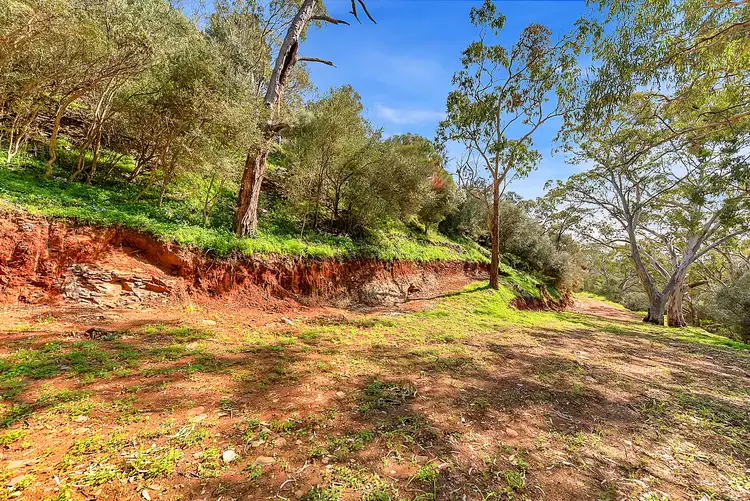 Lot 96 Norton Summit Road, Teringie SA 5072