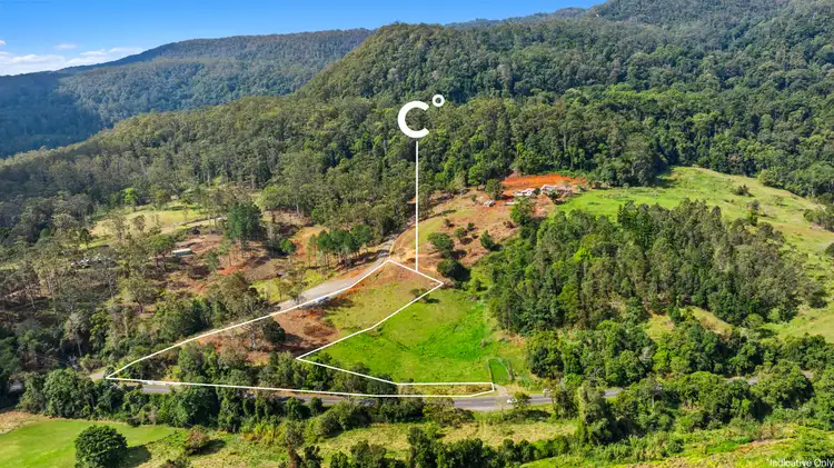 2977 Nerang Murwillumbah Road, Natural Bridge QLD 4211