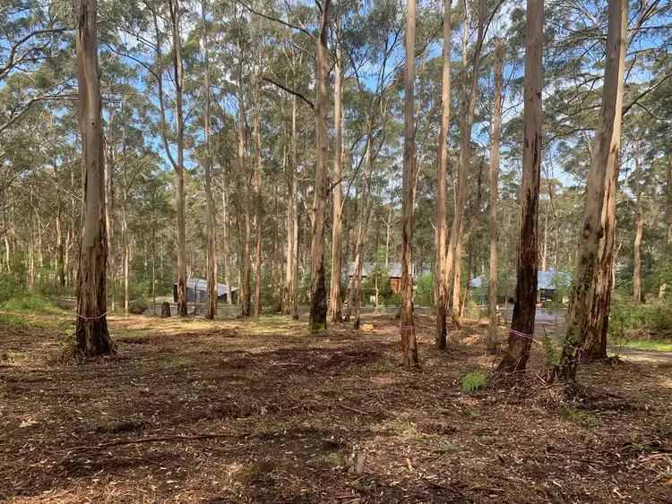 Second view of Homely land listing, 8 Adams Road, Denmark WA 6333