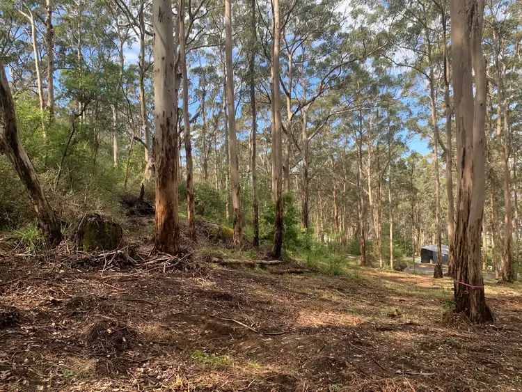 Fourth view of Homely land listing, 8 Adams Road, Denmark WA 6333