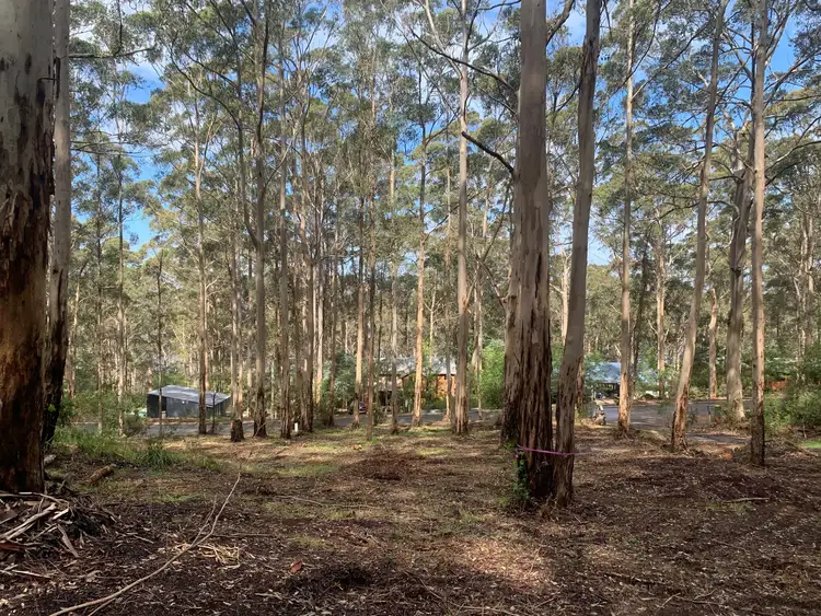 Fifth view of Homely land listing, 8 Adams Road, Denmark WA 6333