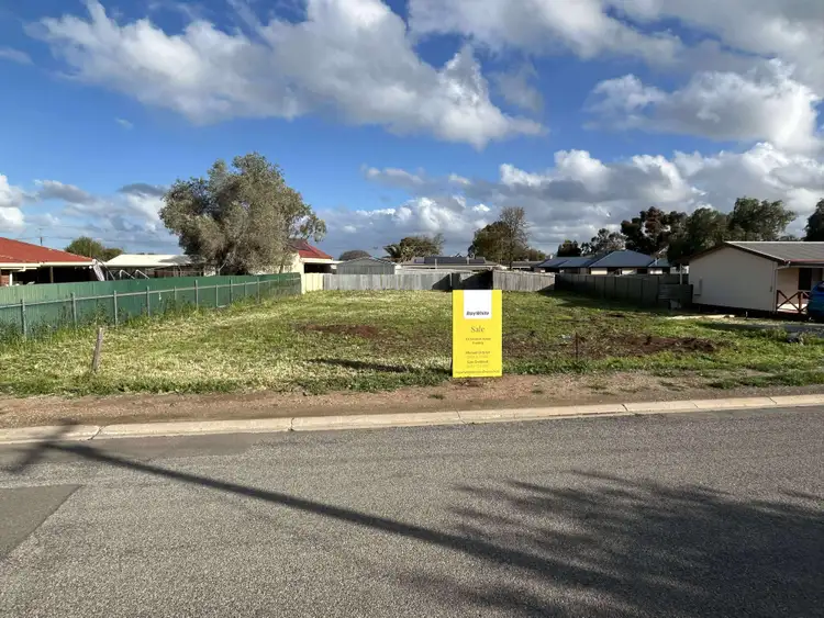 10 Friedrich Street, Freeling SA 5372