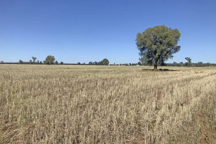 Seventh view of Homely rural property listing, 703 Yethera Road, Tullamore NSW 2874