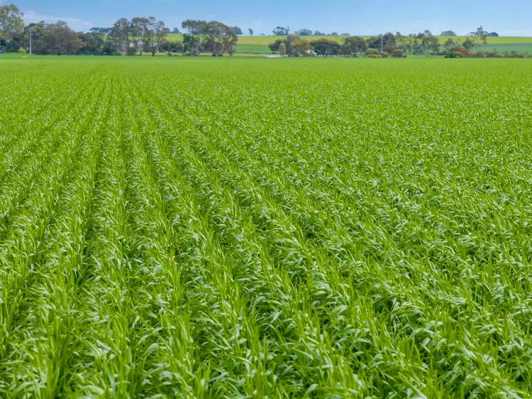 'Shea-Oak Log' Ahrens Road