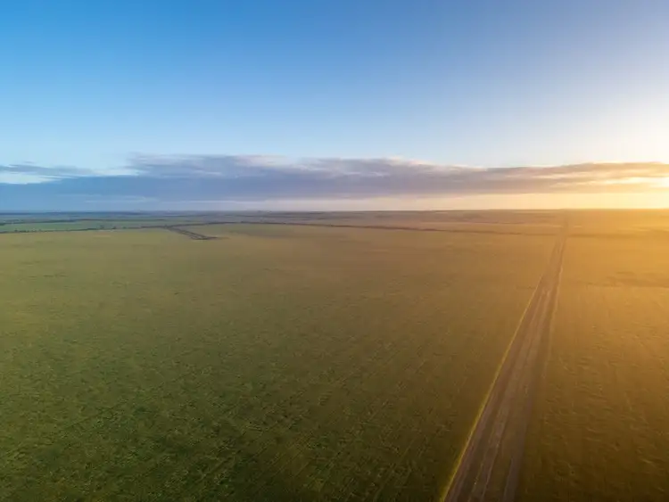 Charlie's 2233 Fourteen Mile Road