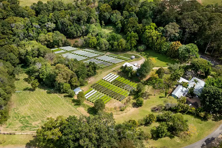 Fourth view of Homely house listing, 139 Pomona Connection Road, Pomona QLD 4568